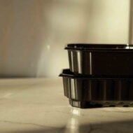 Mini dydžio daiginimo padėklas 1 galerijos nuotrauka