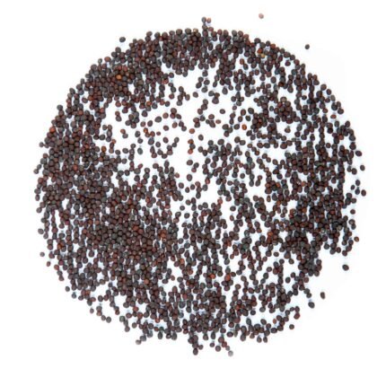 Ropių mikrožalumynų sėklos 1 galerijos paveikslėlis