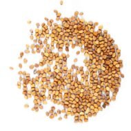 Rožinių ridikėlių mikrožalumynų sėklos