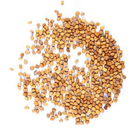 Rožinių ridikėlių mikrožalumynų sėklos