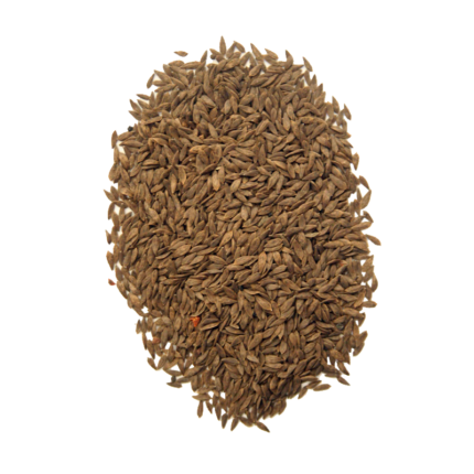 Traškiosios salotos mikrožalumynų sėklos 1 galerijos nuotrauka