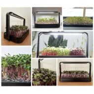 Išmani mikrožalumynų auginimo sistema 1 galerijos nuotrauka