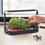 Išmani mikrožalumynų auginimo sistema