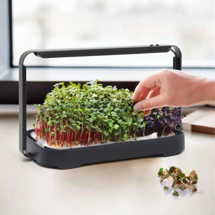 Išmani mikrožalumynų auginimo sistema