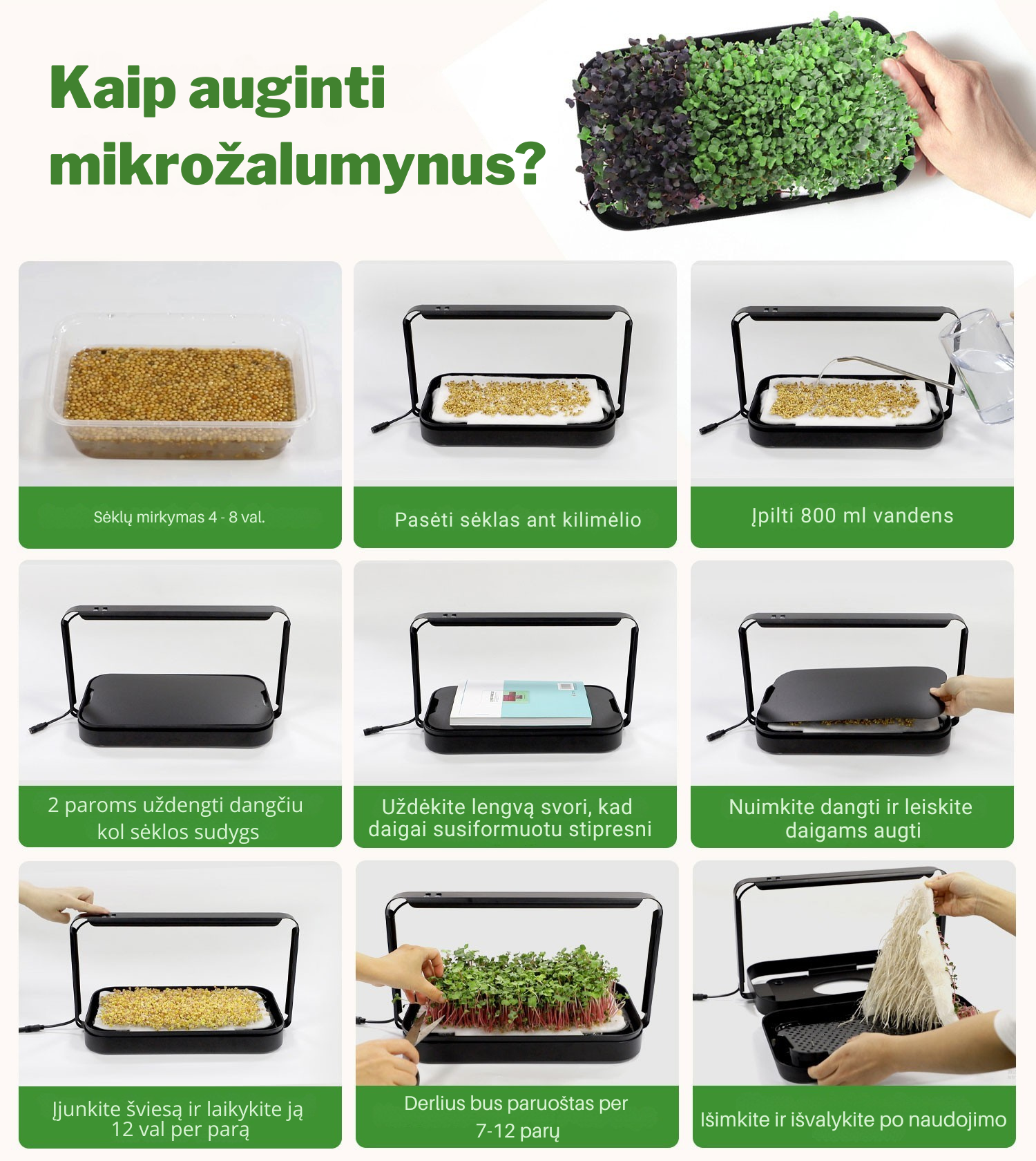 Išmani mikrožalumynų auginimo sistema