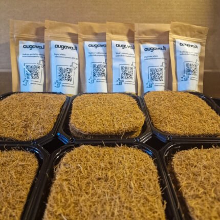 Mikrožalumynų auginimo rinkinys. Dėžės turinys