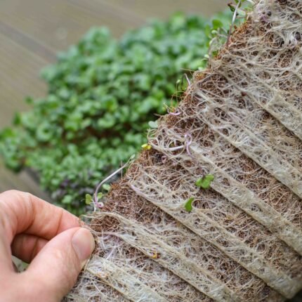 CocoMat kokoso pluošto kilimėliai mikrožalumynams. Pagrindinė nuotrauka