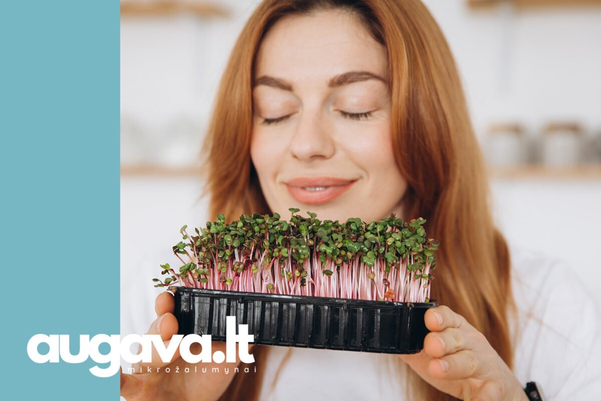 Mikrožalumynai. Straipsniui