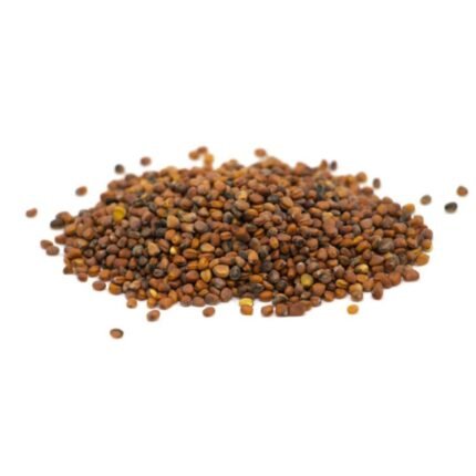 Ekologiški ridikėlių mikrožalumynai. Sėklos