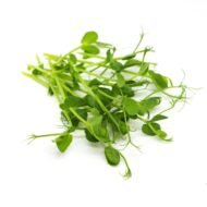 Ekologiški žaliųjų žirnių mikrožalumynai