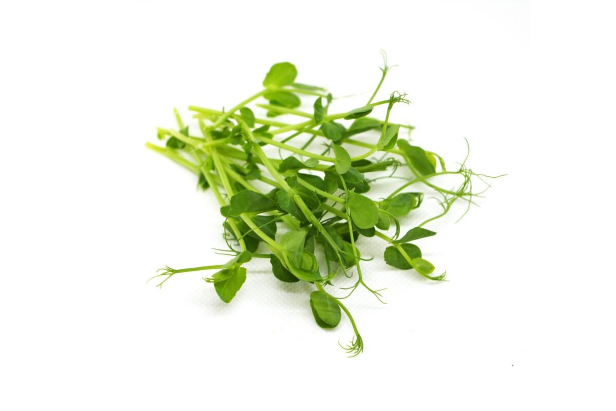 Ekologiški žaliųjų žirnių mikrožalumynai. Aprašymo iliustracija