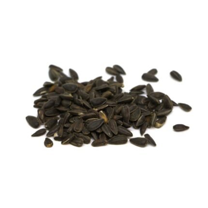 Ekologiškos saulėgrąžos mikrožalumynams. Sėklos