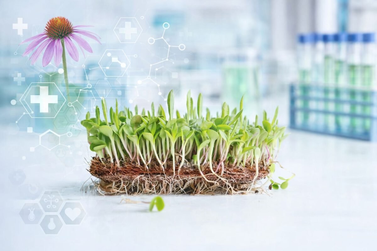 Ežiuolės mikrožolelės