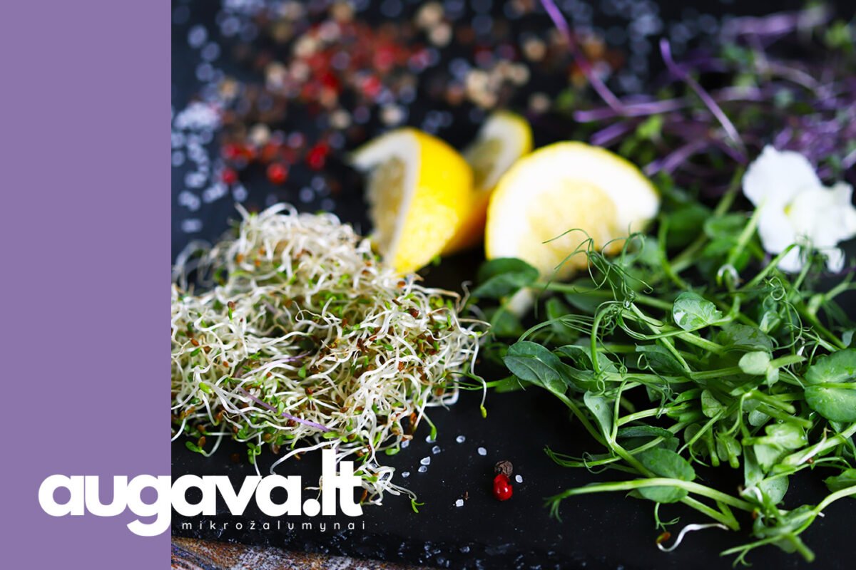 Mikrožalumynai funkcinis maistas. Straipsniui