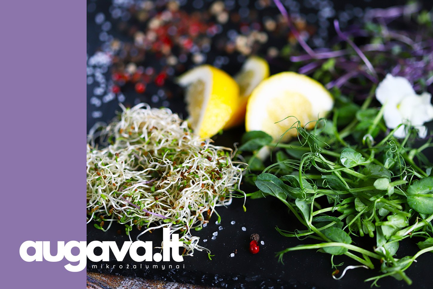 Mikrožalumynai funkcinis maistas. Straipsniui