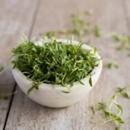 Ekologiškos kalendros sėklos. II galerijos nuotrauka