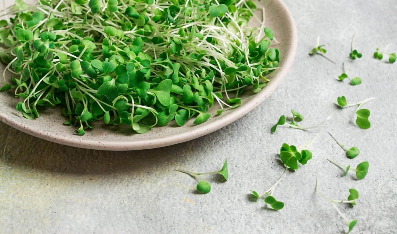 Ekologiškos rukolos sėklos