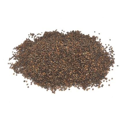 Ekologiškos rukolos sėklos (2)