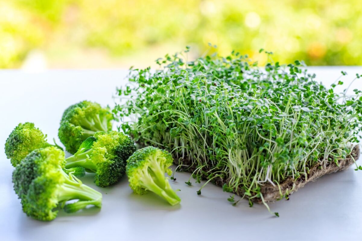 Sulforafano elementai su brokolių mikrožalumynais