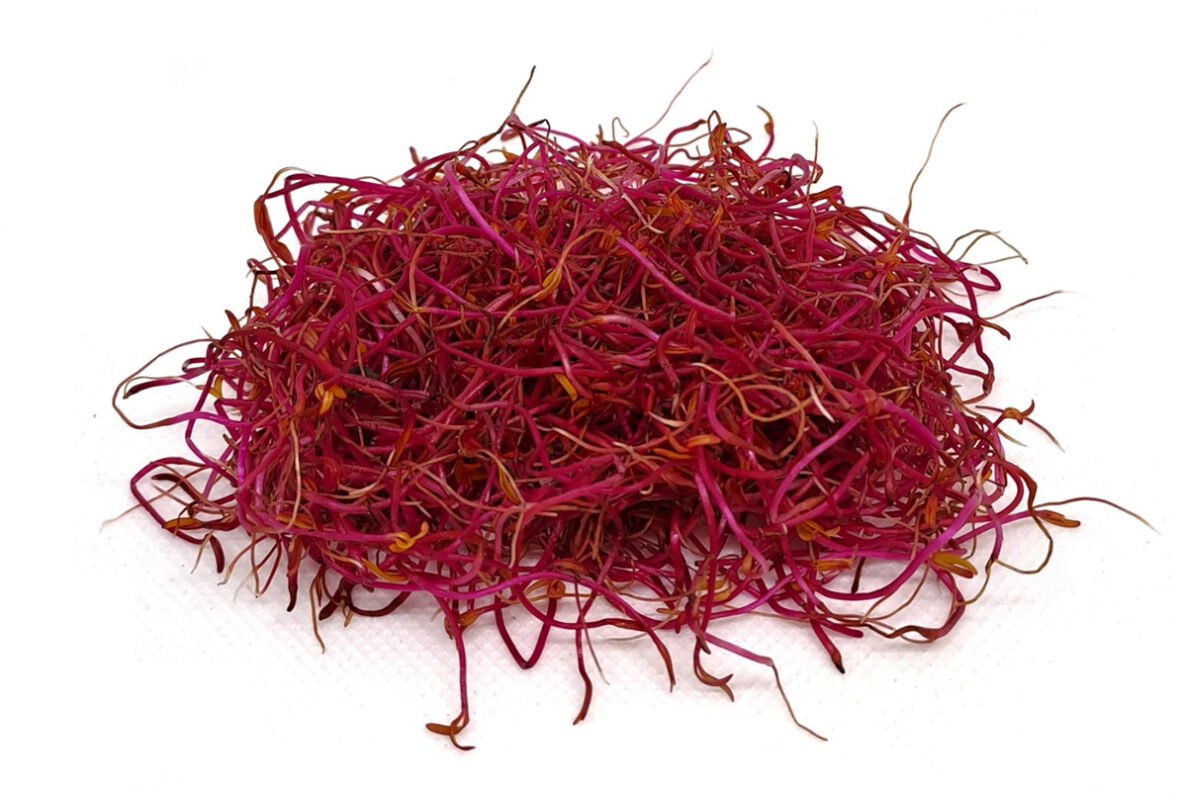 Burokėlių Bull’s Blood sėklos mikrožalumynams ir daiginimui