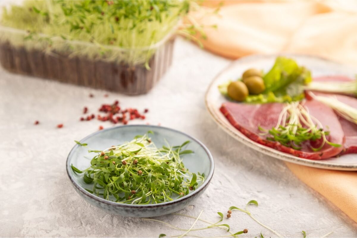 Rūkytos sūdytos mėsos griežinėliai su kalendrų mikrožalumynais