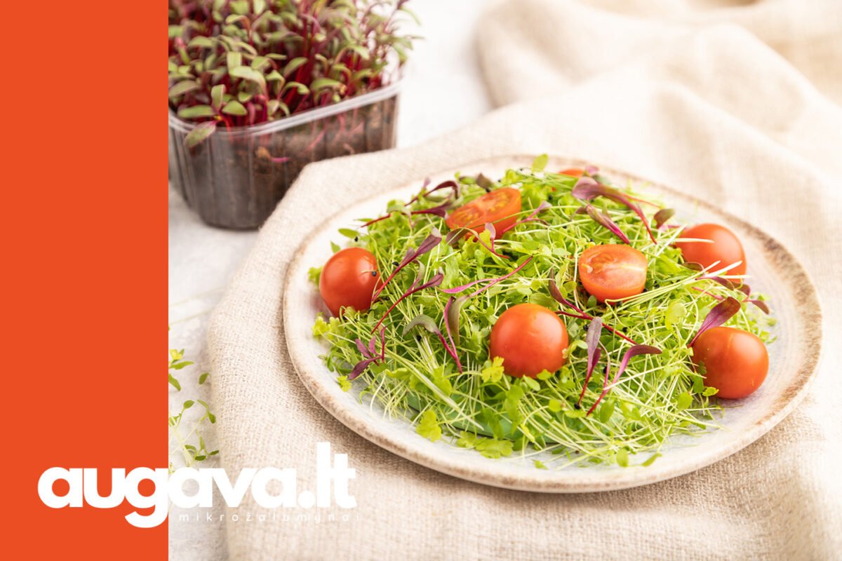 Žaliasis supermaistas