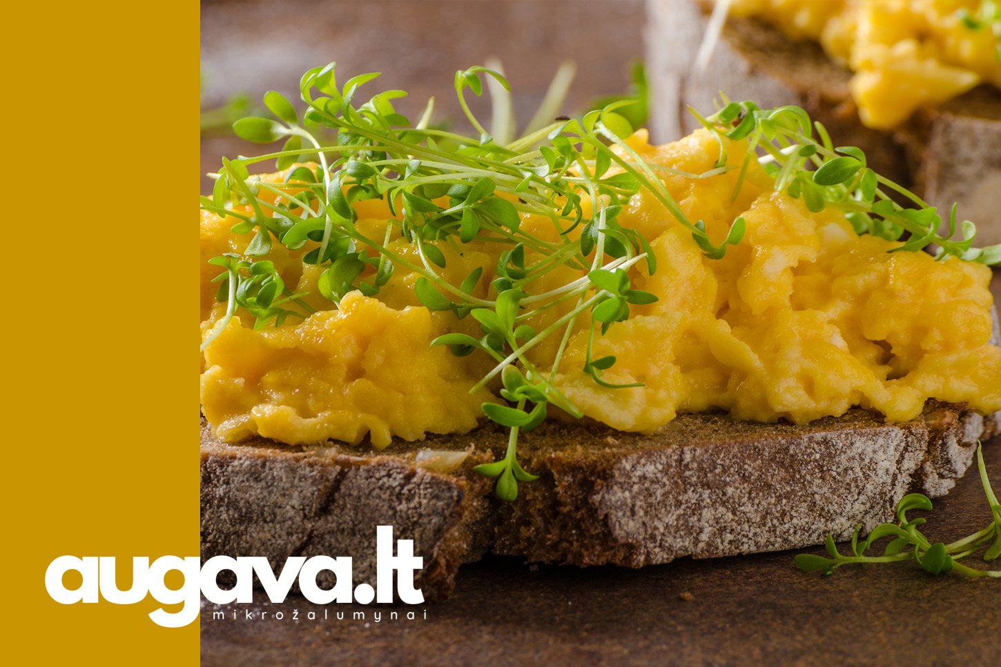 Mikrožalumynų omletai