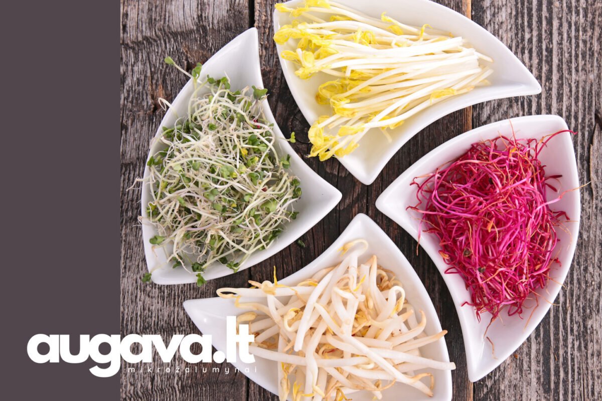 Mikrožalumynų skoniai