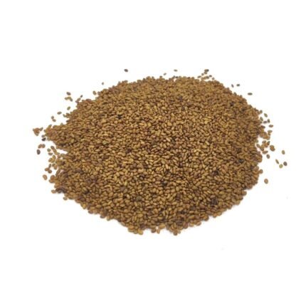 Ekologiškos liucernos (alfalfa) sėklos daiginimui – smulkios Medicago sativa sėklos baltame fone.